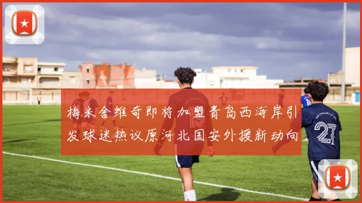 梅米舍维奇即将加盟青岛西海岸引发球迷热议原河北国安外援新动向