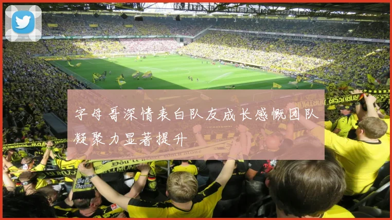 字母哥深情表白队友成长感慨团队凝聚力显著提升