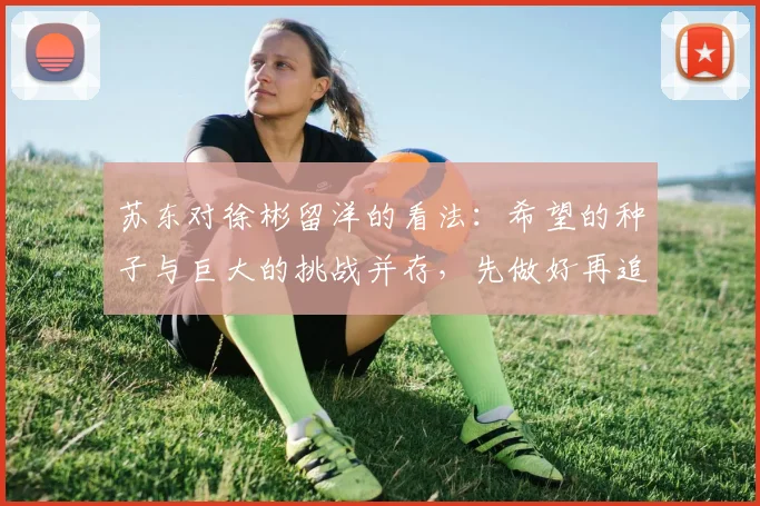 苏东对徐彬留洋的看法：希望的种子与巨大的挑战并存，先做好再追求完美