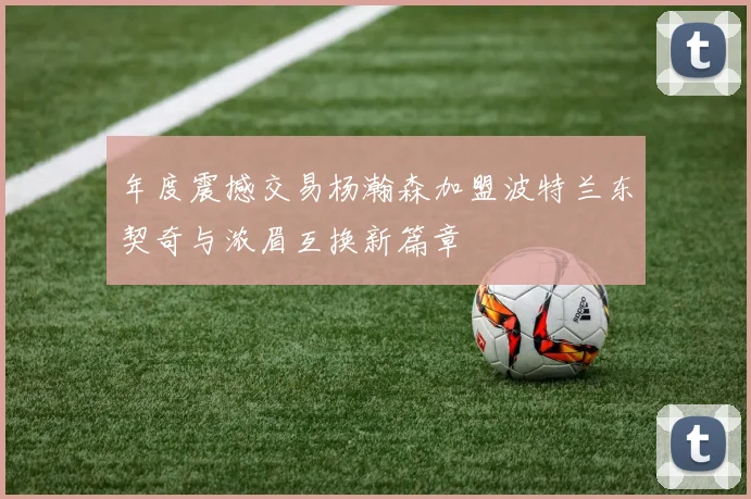 年度震撼交易杨瀚森加盟波特兰东契奇与浓眉互换新篇章