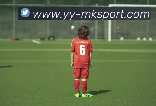 MK体育发展历程