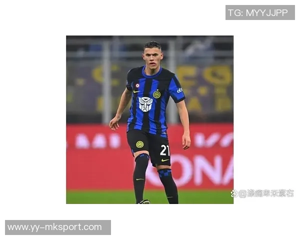 国米旧将范赫斯登因膝盖韧带重伤宣布退役年仅26岁